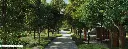 Screenshot 2026-05-18 165600.webp